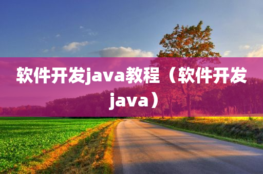 软件开发java教程（软件开发 java）