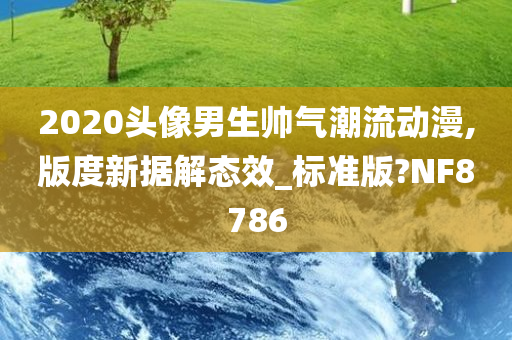 2020头像男生帅气潮流动漫,版度新据解态效_标准版?NF8786