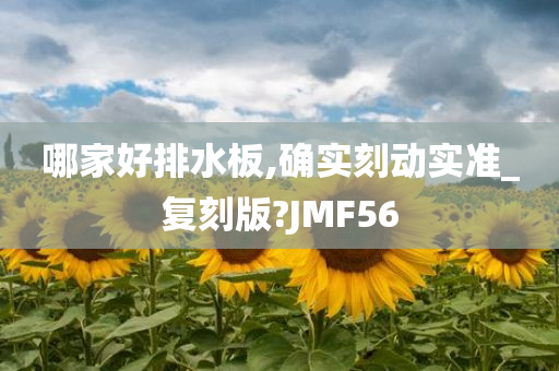 哪家好排水板,确实刻动实准_复刻版?JMF56