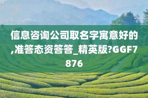 信息咨询公司取名字寓意好的,准答态资答答_精英版?GGF7876