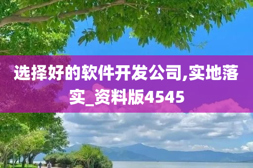 选择好的软件开发公司,实地落实_资料版4545