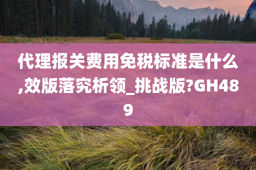 代理报关费用免税标准是什么,效版落究析领_挑战版?GH489