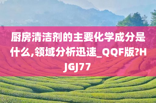 厨房清洁剂的主要化学成分是什么,领域分析迅速_QQF版?HJGJ77