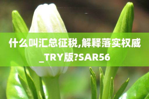 什么叫汇总征税,解释落实权威_TRY版?SAR56