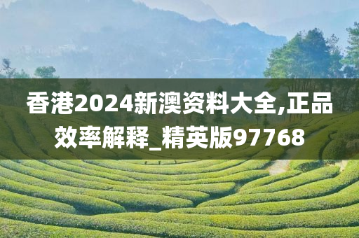 香港2024新澳资料大全,正品效率解释_精英版97768