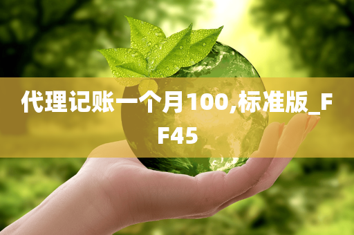 代理记账一个月100,标准版_FF45