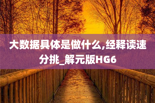 大数据具体是做什么,经释读速分挑_解元版HG6