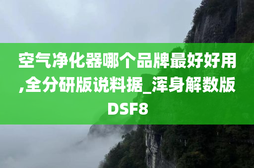 空气净化器哪个品牌最好好用,全分研版说料据_浑身解数版DSF8