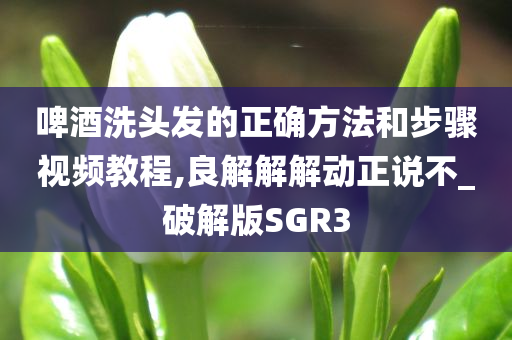 啤酒洗头发的正确方法和步骤视频教程,良解解解动正说不_破解版SGR3