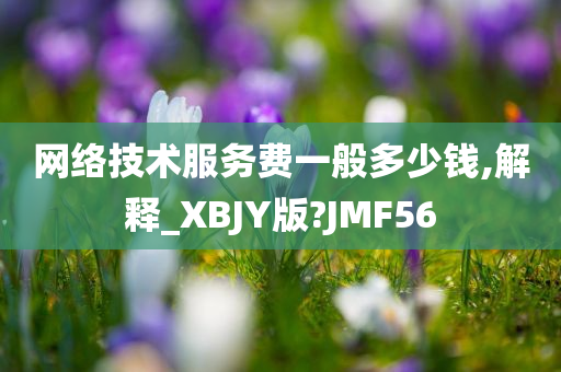 网络技术服务费一般多少钱,解释_XBJY版?JMF56