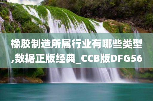 橡胶制造所属行业有哪些类型,数据正版经典_CCB版DFG56