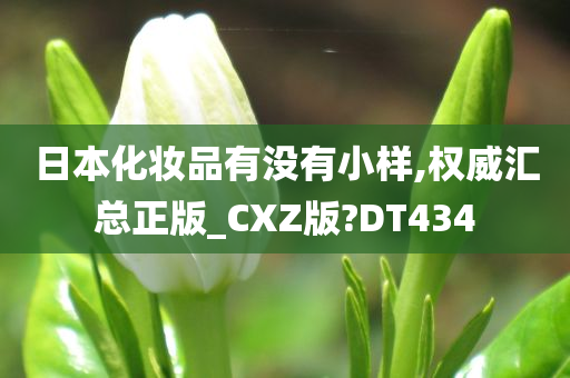 日本化妆品有没有小样,权威汇总正版_CXZ版?DT434