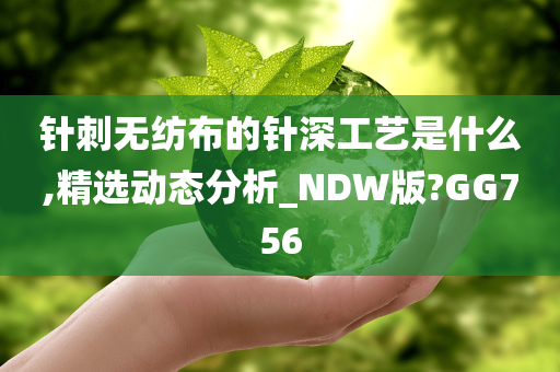 针刺无纺布的针深工艺是什么,精选动态分析_NDW版?GG756