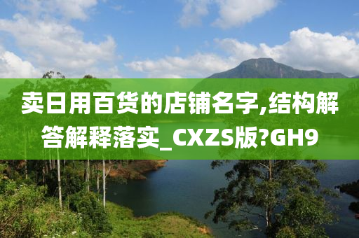 卖日用百货的店铺名字,结构解答解释落实_CXZS版?GH9