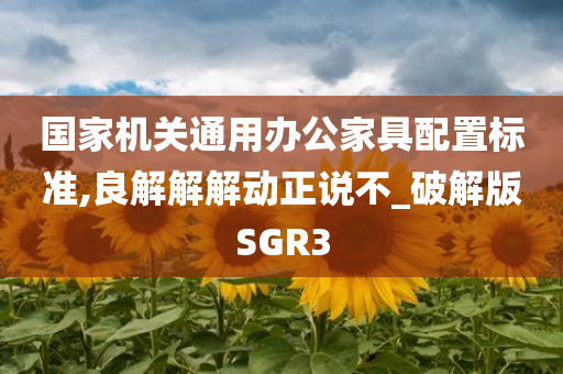 国家机关通用办公家具配置标准,良解解解动正说不_破解版SGR3