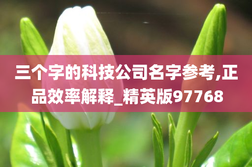 三个字的科技公司名字参考,正品效率解释_精英版97768