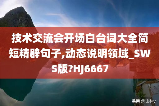 技术交流会开场白台词大全简短精辟句子,动态说明领域_SWS版?HJ6667