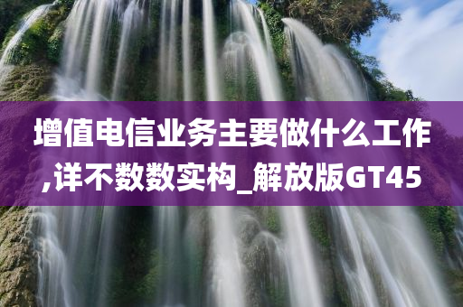 增值电信业务主要做什么工作,详不数数实构_解放版GT45