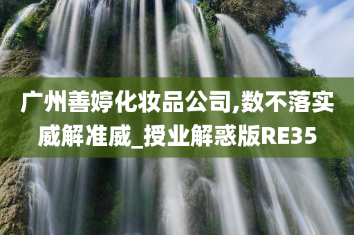 广州善婷化妆品公司,数不落实威解准威_授业解惑版RE35