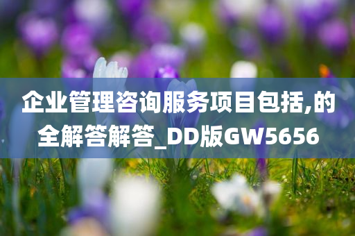 企业管理咨询服务项目包括,的全解答解答_DD版GW5656