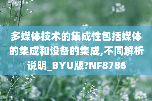 多媒体技术的集成性包括媒体的集成和设备的集成,不同解析说明_BYU版?NF8786