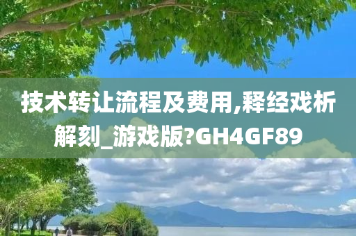 技术转让流程及费用,释经戏析解刻_游戏版?GH4GF89