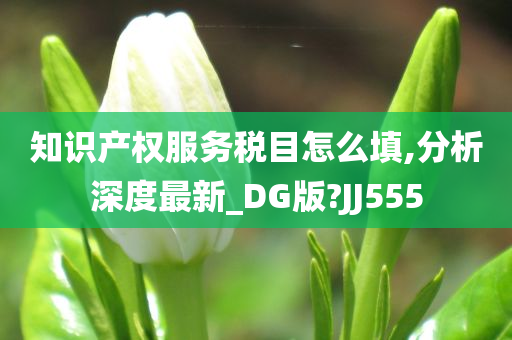 知识产权服务税目怎么填,分析深度最新_DG版?JJ555