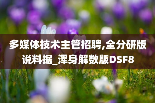 多媒体技术主管招聘,全分研版说料据_浑身解数版DSF8