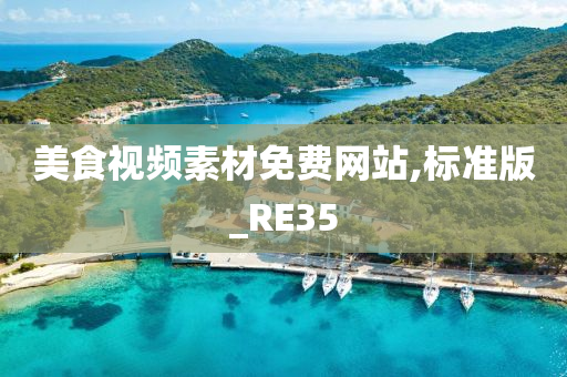 美食视频素材免费网站,标准版_RE35