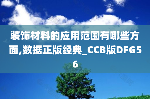 装饰材料的应用范围有哪些方面,数据正版经典_CCB版DFG56