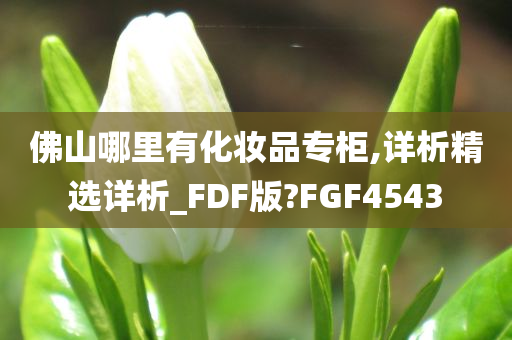 佛山哪里有化妆品专柜,详析精选详析_FDF版?FGF4543