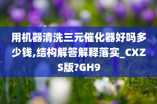 用机器清洗三元催化器好吗多少钱,结构解答解释落实_CXZS版?GH9