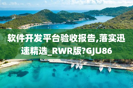 软件开发平台验收报告,落实迅速精选_RWR版?GJU86