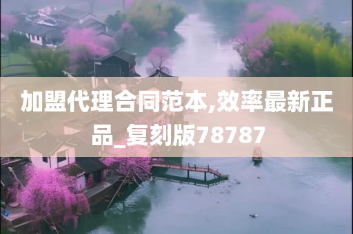 加盟代理合同范本,效率最新正品_复刻版78787