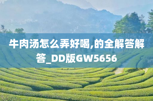 牛肉汤怎么弄好喝,的全解答解答_DD版GW5656