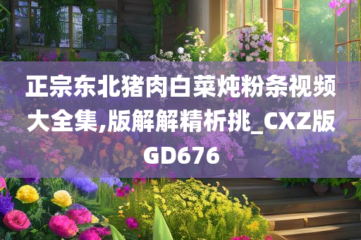 正宗东北猪肉白菜炖粉条视频大全集,版解解精析挑_CXZ版GD676