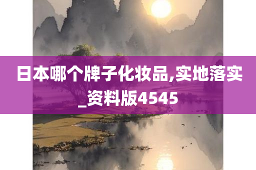 日本哪个牌子化妆品,实地落实_资料版4545