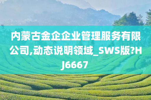 内蒙古金企企业管理服务有限公司,动态说明领域_SWS版?HJ6667