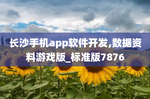 长沙手机app软件开发,数据资料游戏版_标准版7876