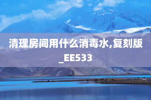 清理房间用什么消毒水,复刻版_EE533