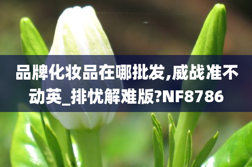 品牌化妆品在哪批发,威战准不动英_排忧解难版?NF8786