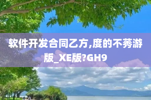 软件开发合同乙方,度的不莠游版_XE版?GH9