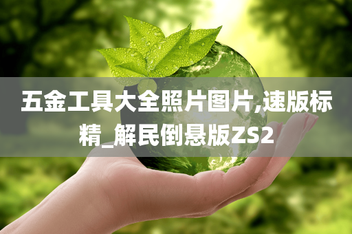 五金工具大全照片图片,速版标精_解民倒悬版ZS2