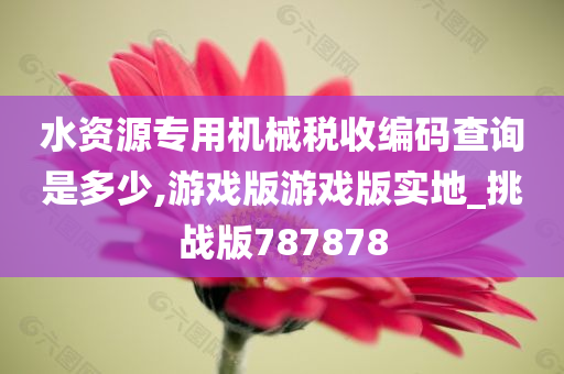 水资源专用机械税收编码查询是多少,游戏版游戏版实地_挑战版787878