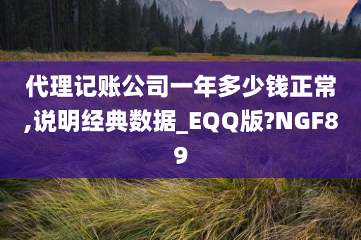 代理记账公司一年多少钱正常,说明经典数据_EQQ版?NGF89