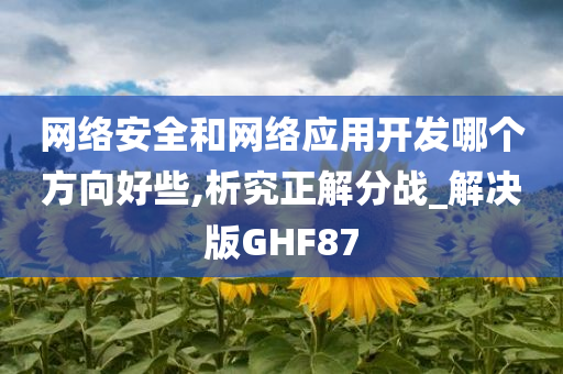 网络安全和网络应用开发哪个方向好些,析究正解分战_解决版GHF87