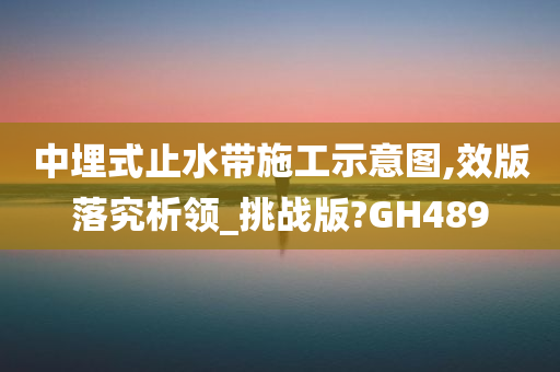 中埋式止水带施工示意图,效版落究析领_挑战版?GH489