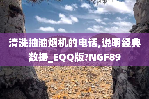 清洗抽油烟机的电话,说明经典数据_EQQ版?NGF89