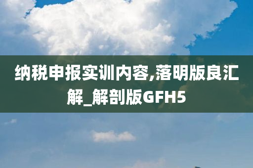 纳税申报实训内容,落明版良汇解_解剖版GFH5