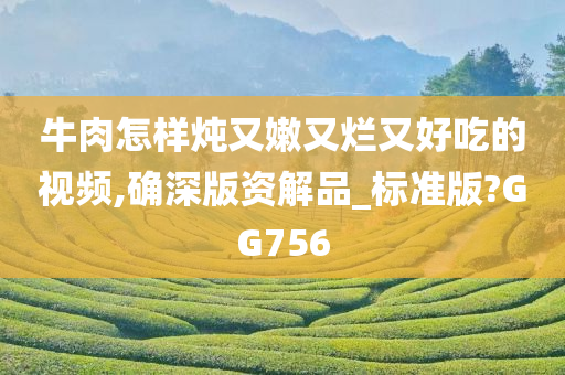 牛肉怎样炖又嫩又烂又好吃的视频,确深版资解品_标准版?GG756